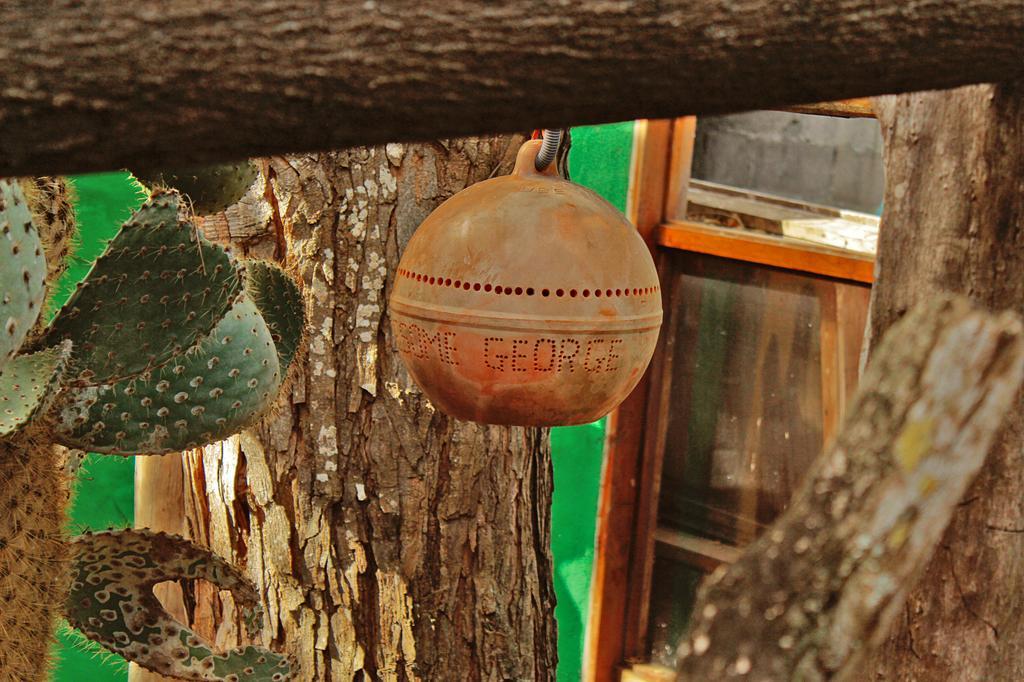 Lonesome George Ecolodge Puerto Ayora  Exteriör bild