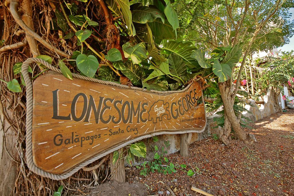 Lonesome George Ecolodge Puerto Ayora  Exteriör bild