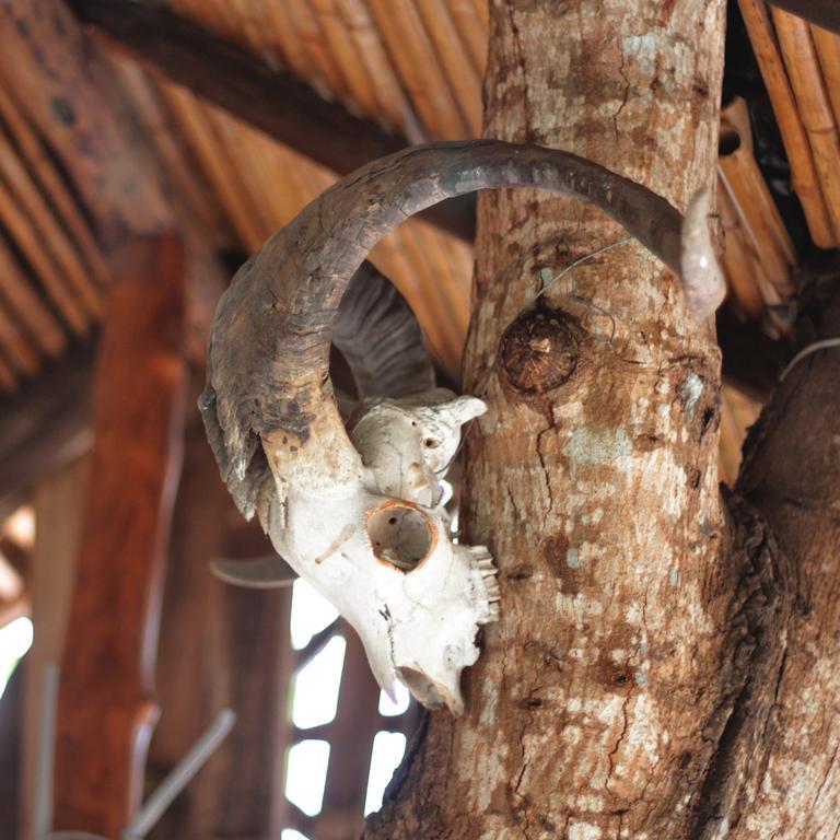 Lonesome George Ecolodge Puerto Ayora  Exteriör bild