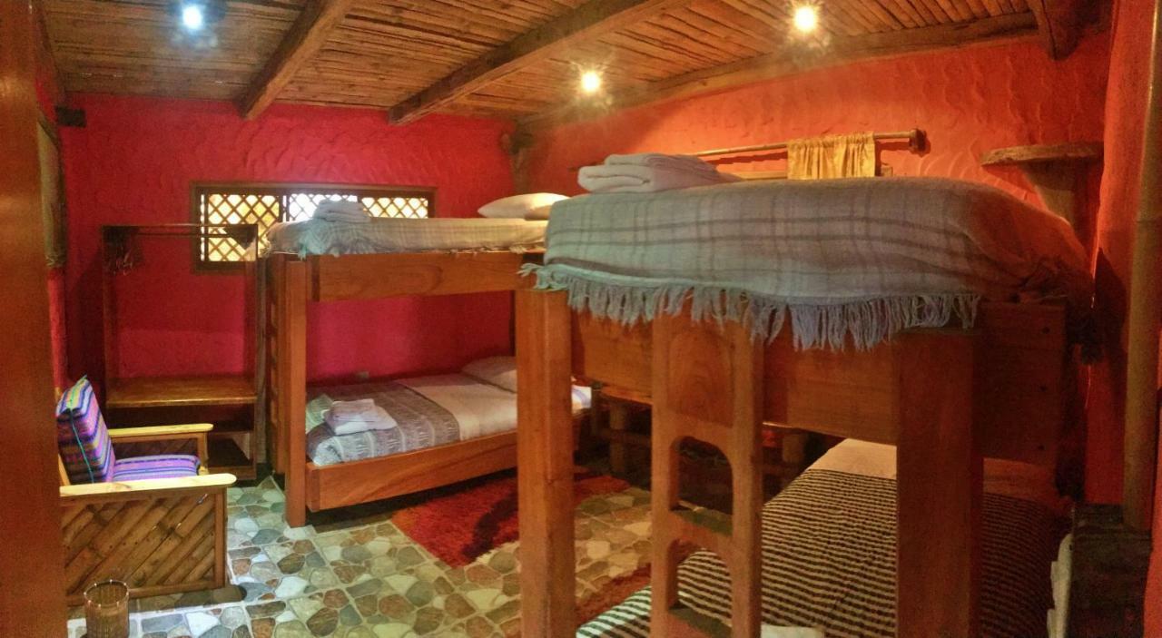 Lonesome George Ecolodge Puerto Ayora  Rum bild